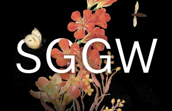 SGGW logo i identyfikacja wizualna projekt